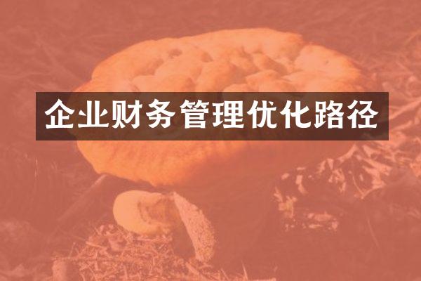 企业财务管理优化路径