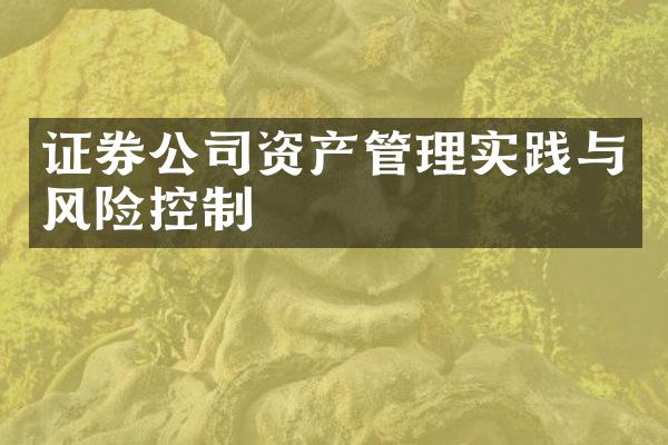 证券公司资产管理实践与风险控制