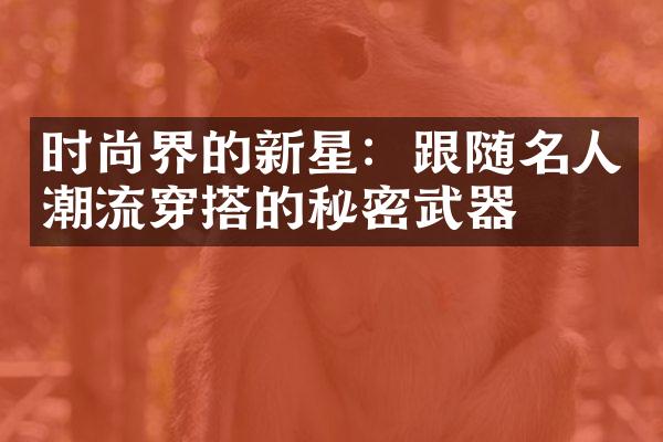 时尚界的新星：跟随名人潮流穿搭的秘密武器