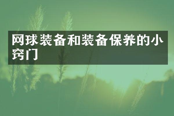 网球装备和装备保养的小窍门