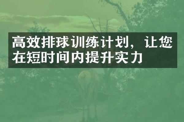 高效排球训练计划，让您在短时间内提升实力