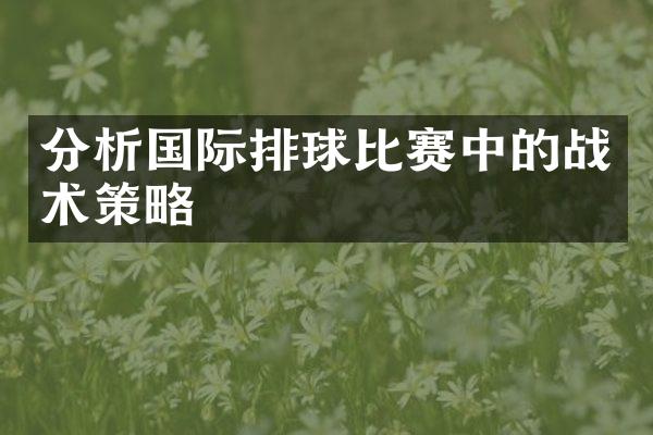 分析国际排球比赛中的战术策略