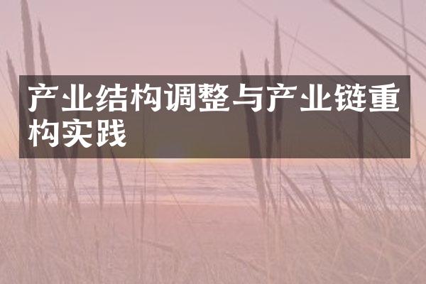 产业结构调整与产业链重构实践