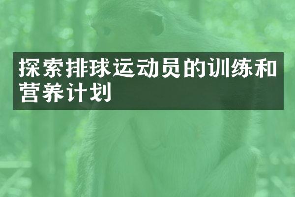 探索排球运动员的训练和营养计划