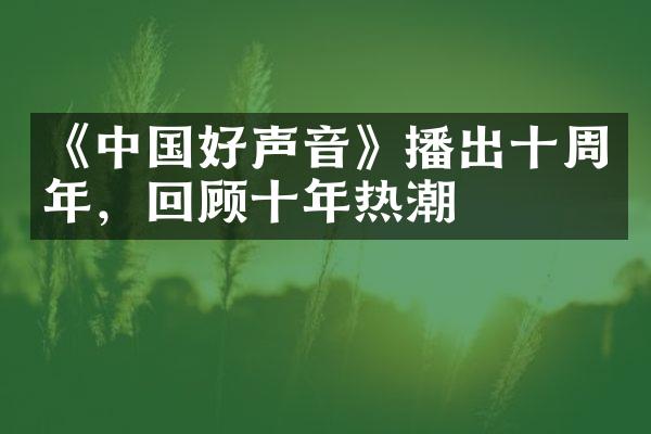 《中国好声音》播出十周年，回顾十年热潮