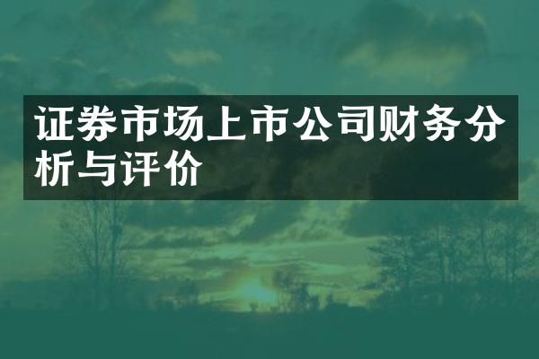 证券市场上市公司财务分析与评价