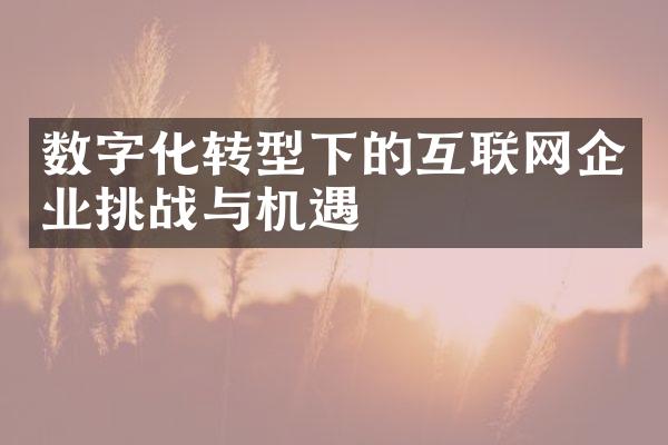 数字化转型下的互联网企业挑战与机遇