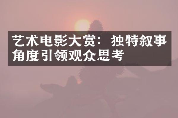 艺术电影大赏：独特叙事角度引领观众思考