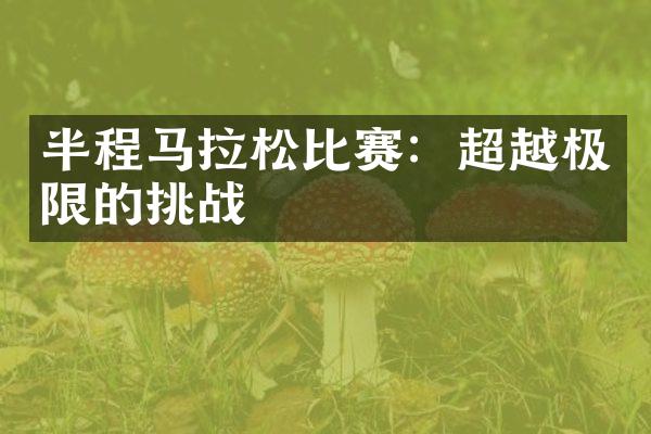 半程马拉松比赛：超越极限的挑战