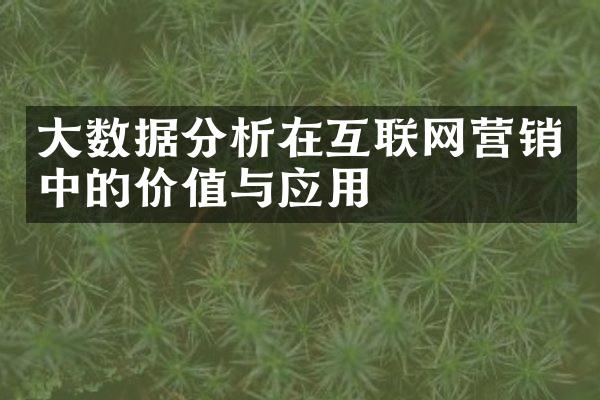 大数据分析在互联网营销中的价值与应用