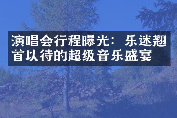 演唱会行程曝光：乐迷翘首以待的超级音乐盛宴