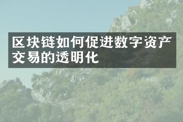 区块链如何促进数字资产交易的透明化