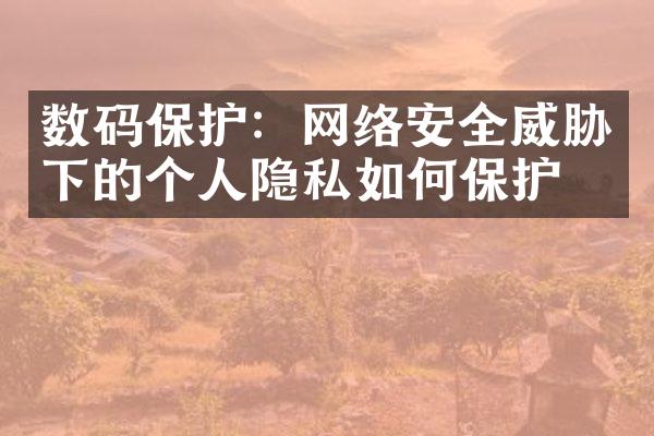 数码保护：网络安全威胁下的个人隐私如何保护？