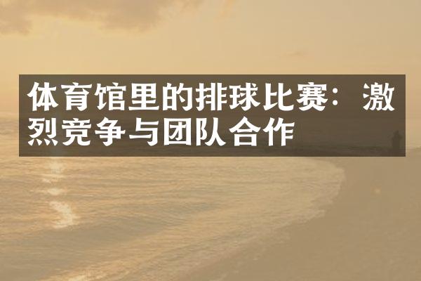 体育馆里的排球比赛：激烈竞争与团队合作