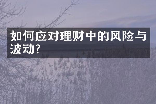 如何应对理财中的风险与波动？