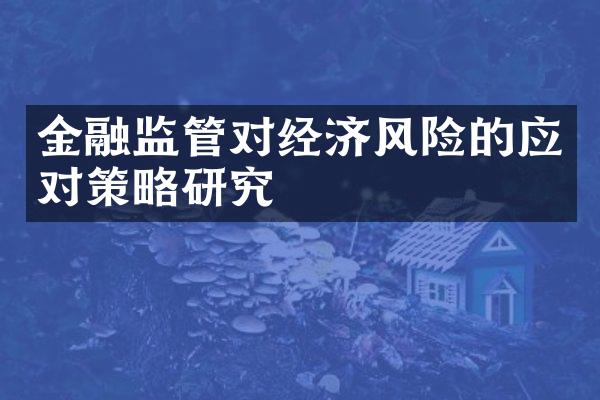 金融监管对经济风险的应对策略研究