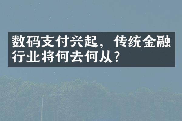 数码支付兴起，传统金融行业将何去何从？