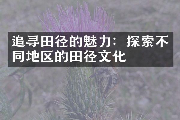 追寻田径的魅力：探索不同地区的田径文化