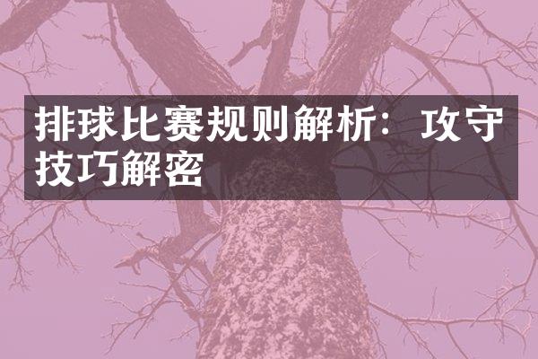 排球比赛规则解析：攻守技巧解密