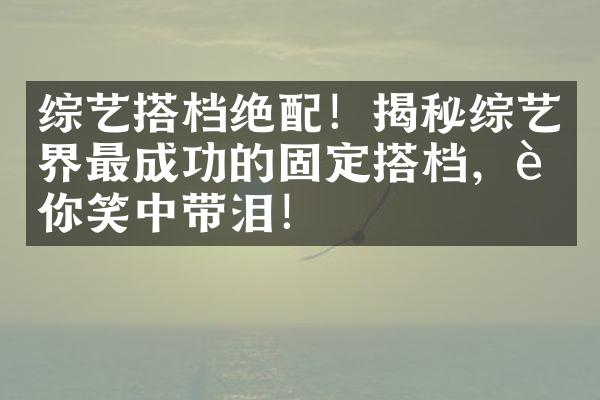 综艺搭档绝配！揭秘综艺界最成功的固定搭档，让你笑中带泪！