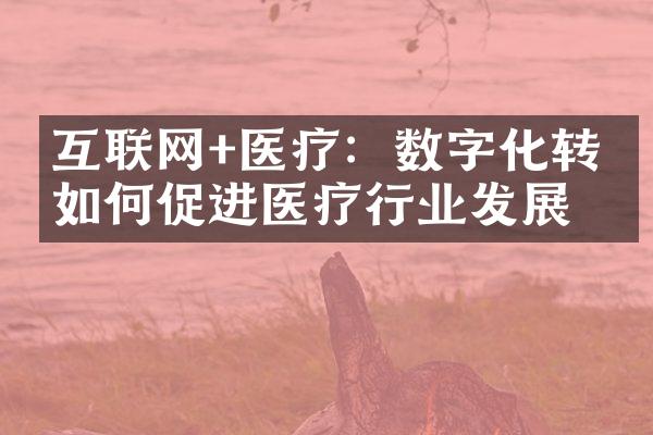 互联网+医疗：数字化转型如何促进医疗行业发展