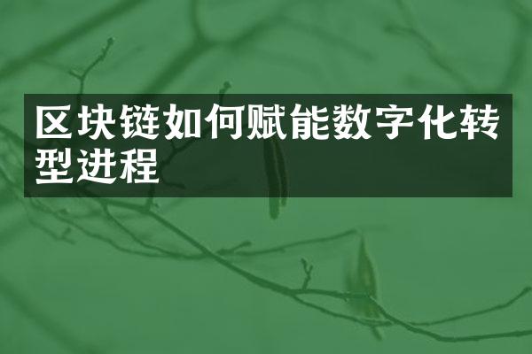 区块链如何赋能数字化转型进程