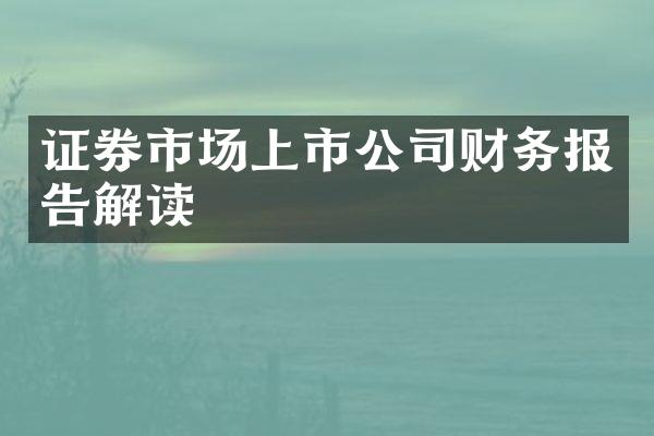 证券市场上市公司财务报告解读