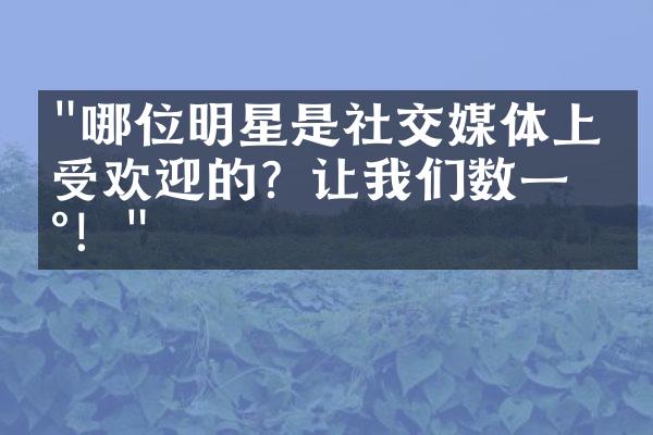 "哪位明星是社交媒体上最受欢迎的？让我们数一数！"