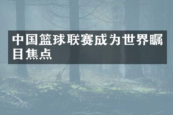 篮球联赛成为世界瞩目焦点