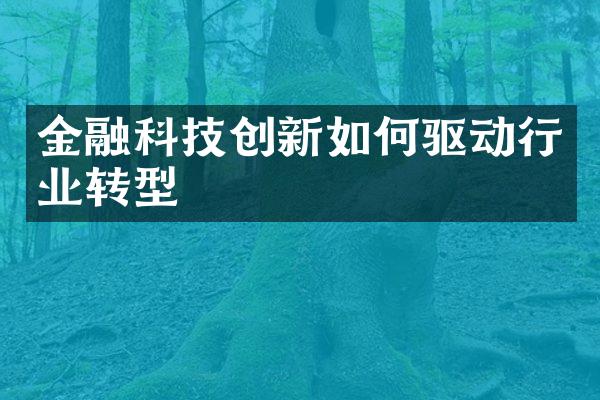 金融科技创新如何驱动行业转型