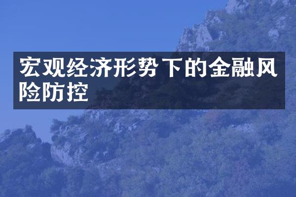 宏观经济形势下的金融风险防控