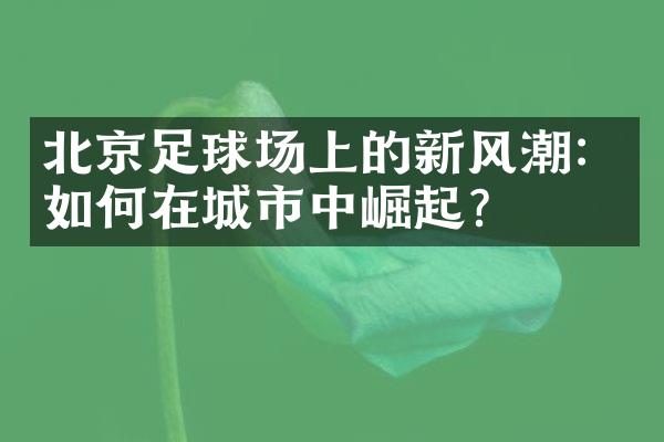 北京足球场上的新风潮：如何在城市中崛起？