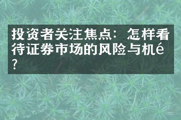 投资者关注焦点：怎样看待证券市场的风险与机遇？