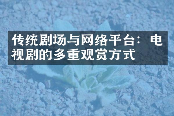 传统剧场与网络平台：电视剧的多重观赏方式