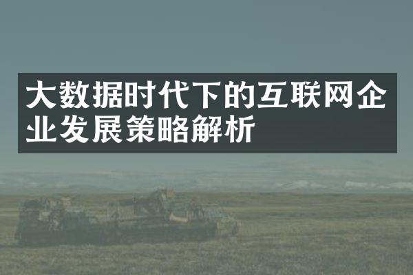 数据时代下的互联网企业发展策略解析