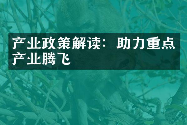 产业政策解读：助力重点产业腾飞