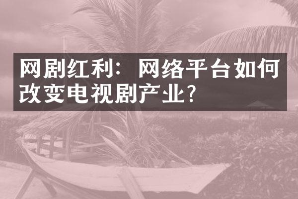 网剧红利：网络平台如何改变电视剧产业？