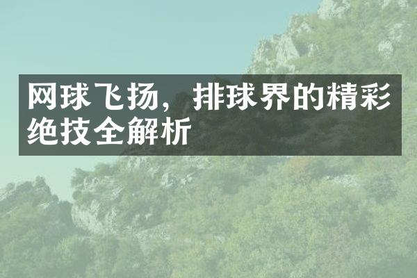 网球飞扬，排球界的精彩绝技全解析