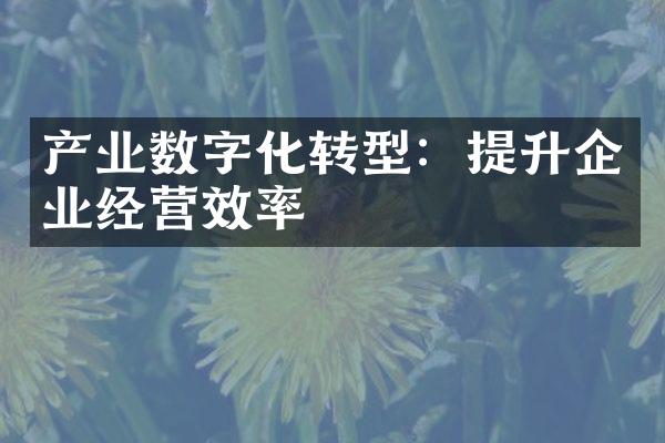 产业数字化转型：提升企业经营效率