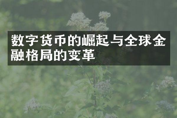 数字货币的崛起与全球金融格局的变革