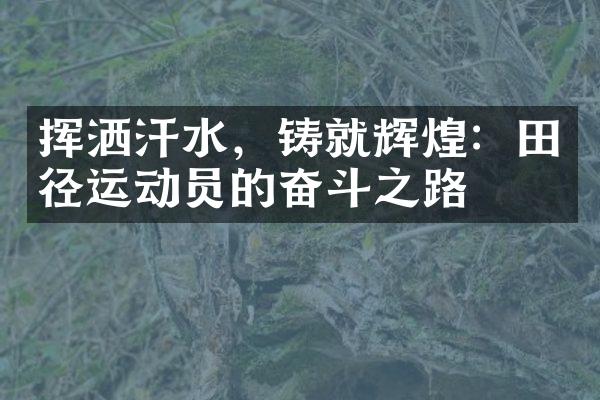 挥洒汗水，铸就辉煌：田径运动员的奋斗之路