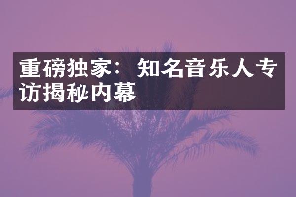 重磅独家：知名音乐人专访揭秘内幕