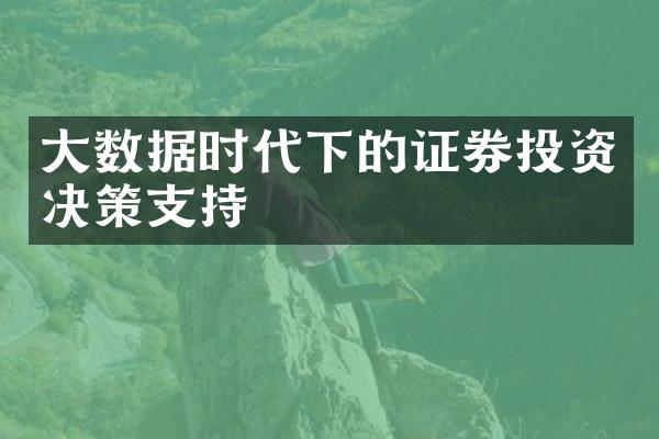 大数据时代下的证券投资决策支持