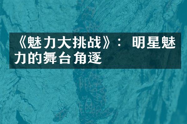 《魅力大挑战》：明星魅力的舞台角逐