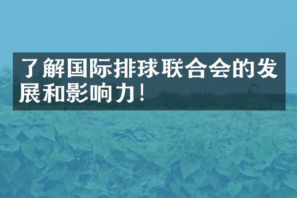 了解国际排球联合会的发展和影响力！