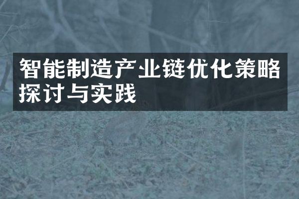 智能制造产业链优化策略探讨与实践