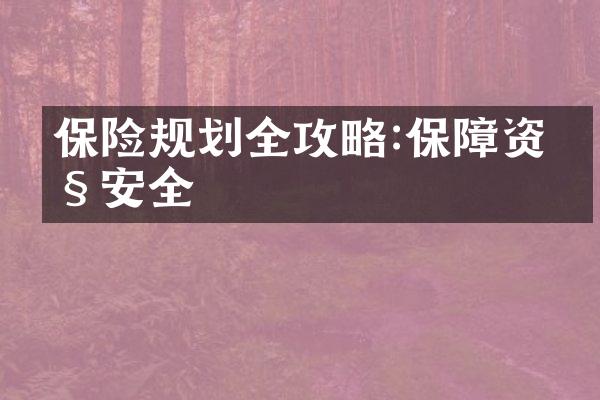 保险规划全攻略:保障资产安全