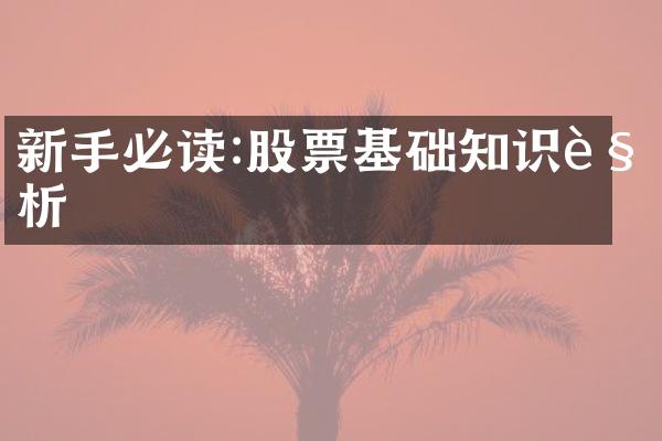 新手必读:股票基础知识解析