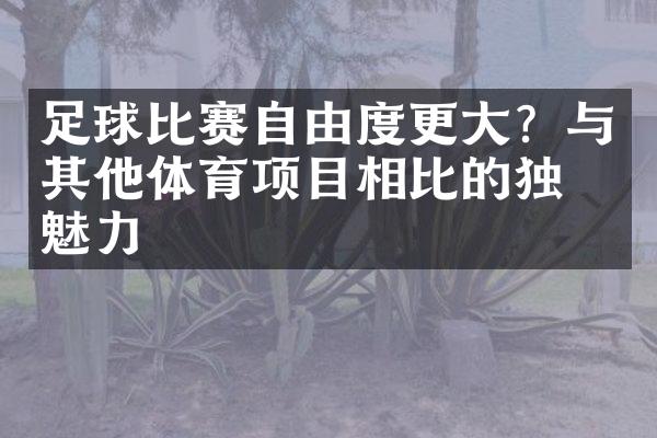 足球比赛自由度更大？与其他体育项目相比的独特魅力