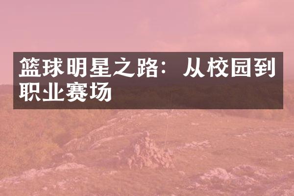 篮球明星之路：从校园到职业赛场